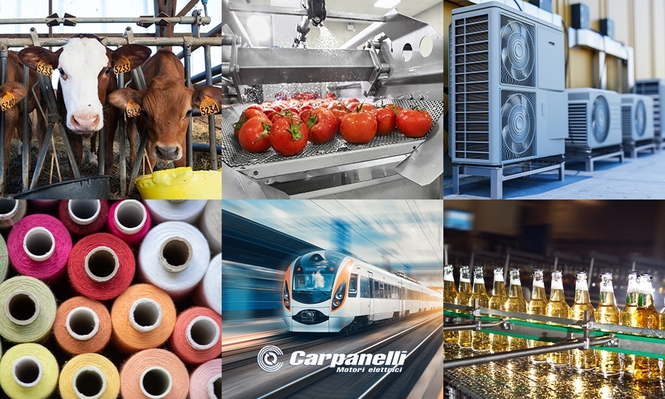 Carpanelli Electric Motors for companies Carpanelli Electric Motors for companies