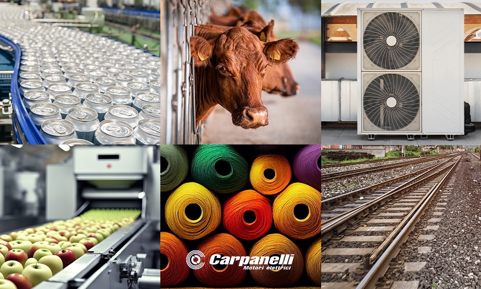 Carpanelli Electric Motors: Application sectors Carpanelli Electric Motors: Application sectors